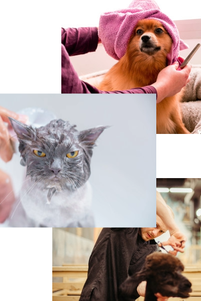 mosaico sobre barbearia